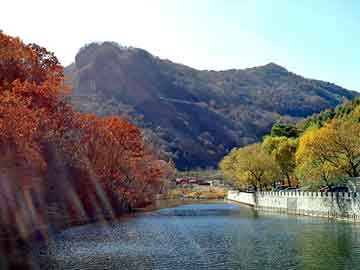 新澳天天开奖资料大全旅游团，龙山seo优化